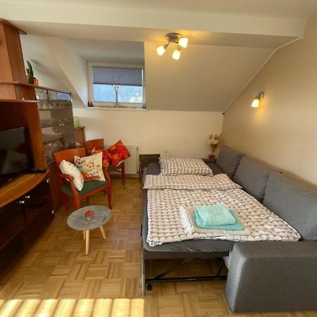 Apartment Kranj - Huge Terrace, Free P, Wi - Fi, Ac מראה חיצוני תמונה