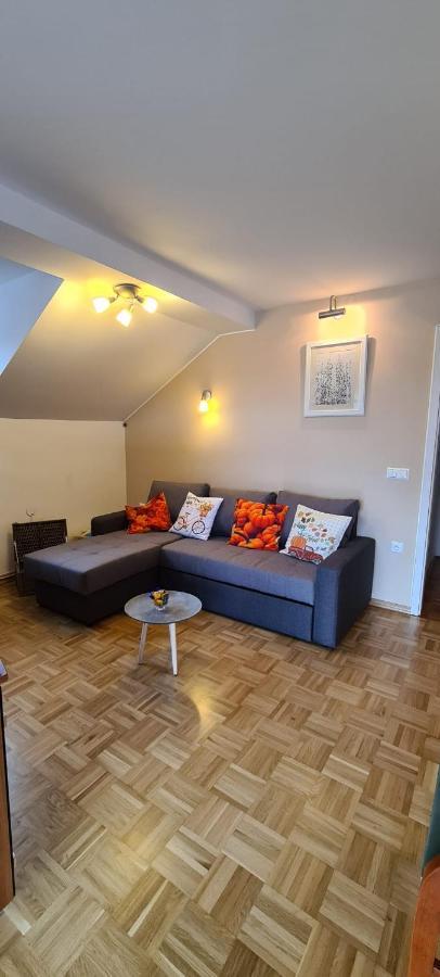Apartment Kranj - Huge Terrace, Free P, Wi - Fi, Ac מראה חיצוני תמונה