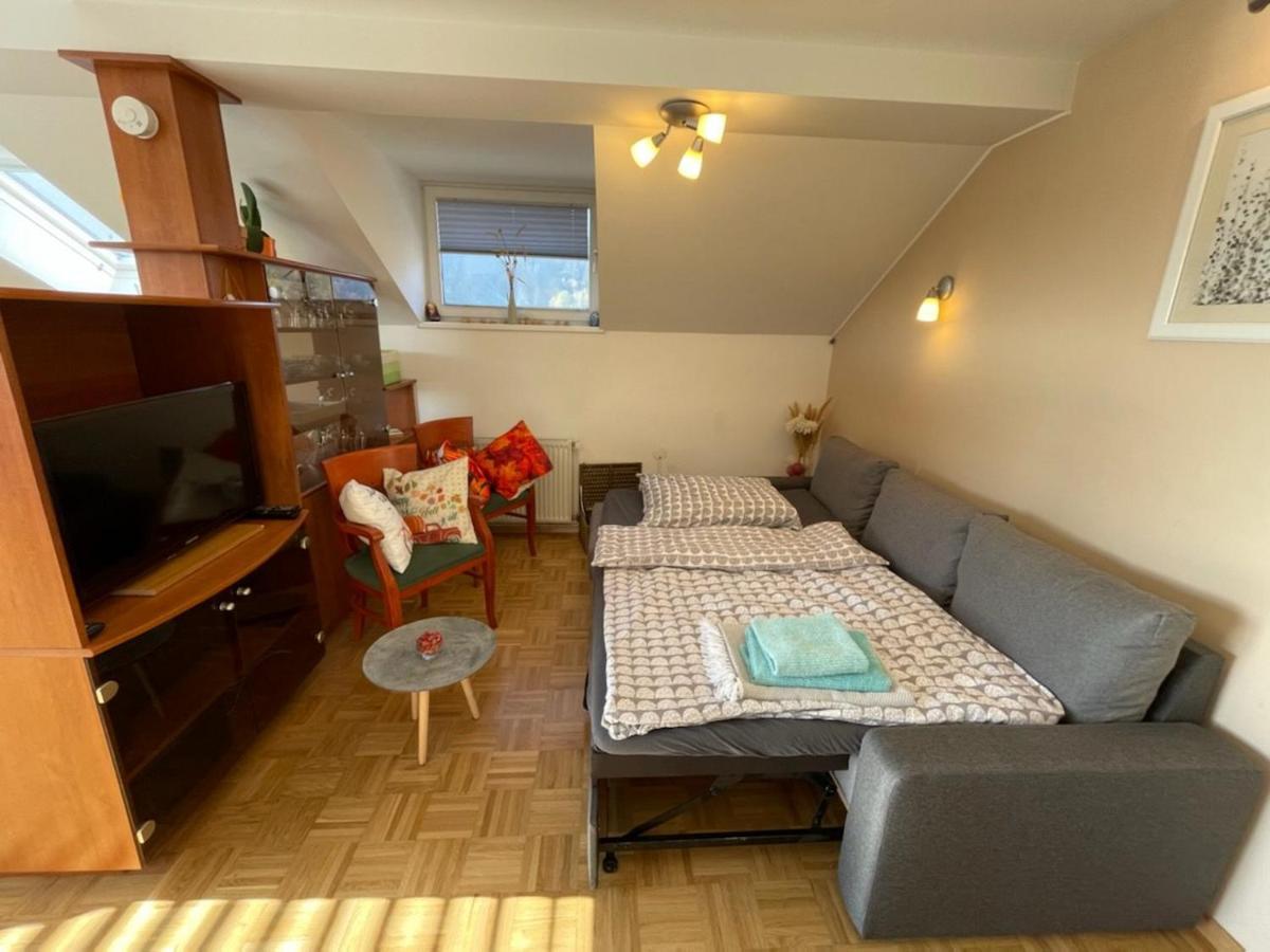 Apartment Kranj - Huge Terrace, Free P, Wi - Fi, Ac מראה חיצוני תמונה