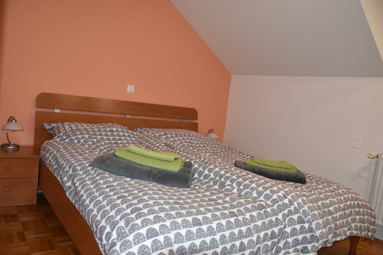 Apartment Kranj - Huge Terrace, Free P, Wi - Fi, Ac מראה חיצוני תמונה